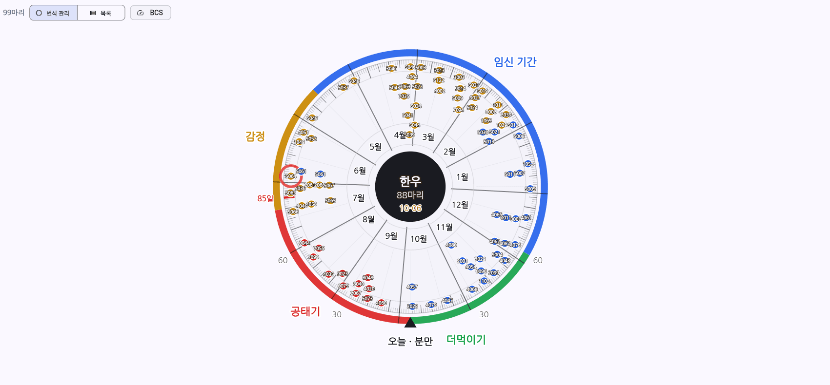 카우보드 번식우 휠 — 분만예정·임신기간·감정·공태기가 한 바퀴에 배치된 모습